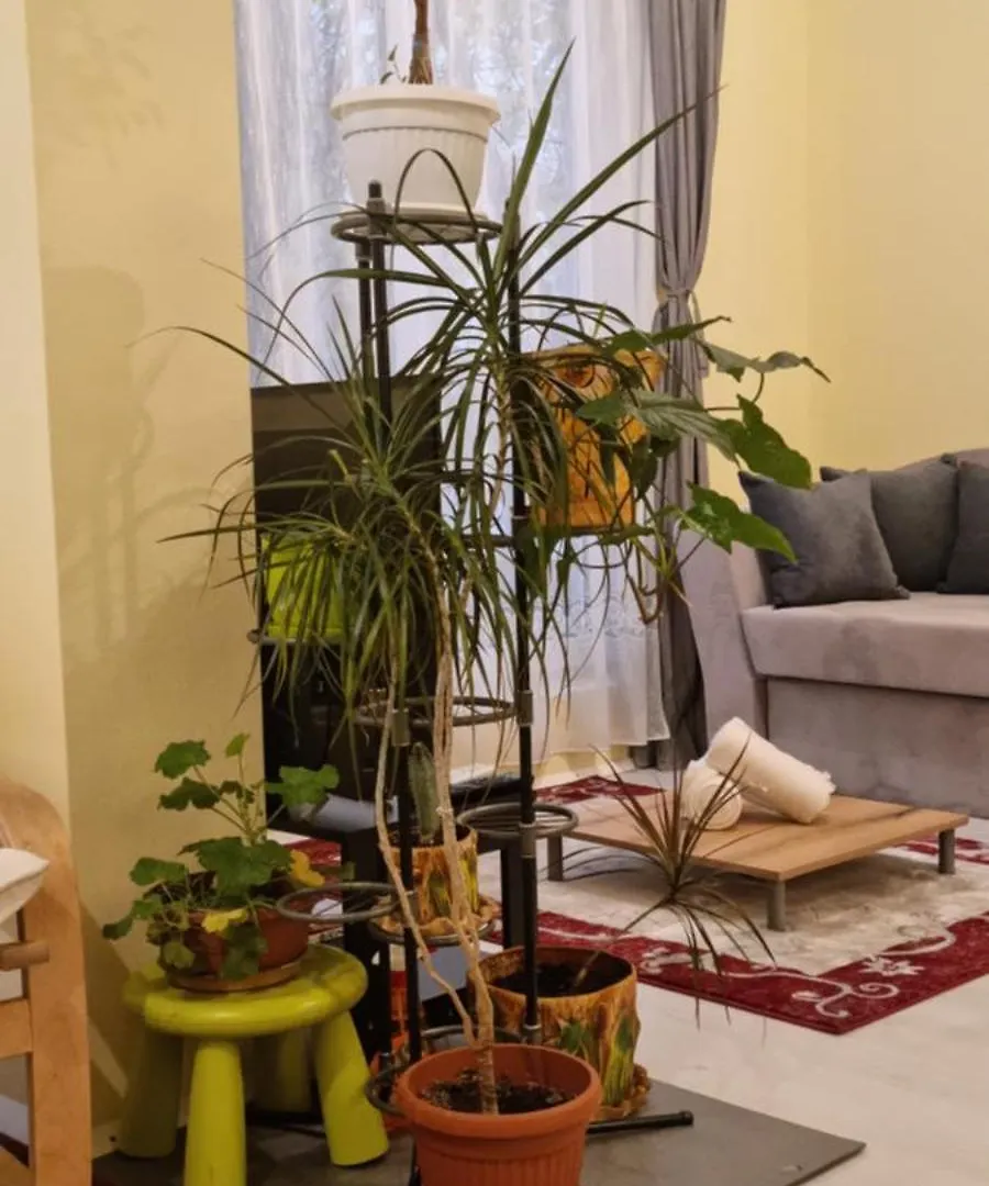 Peaceful Studio In The City Center, Close To Subway, Medical University Sofia Bulgarie