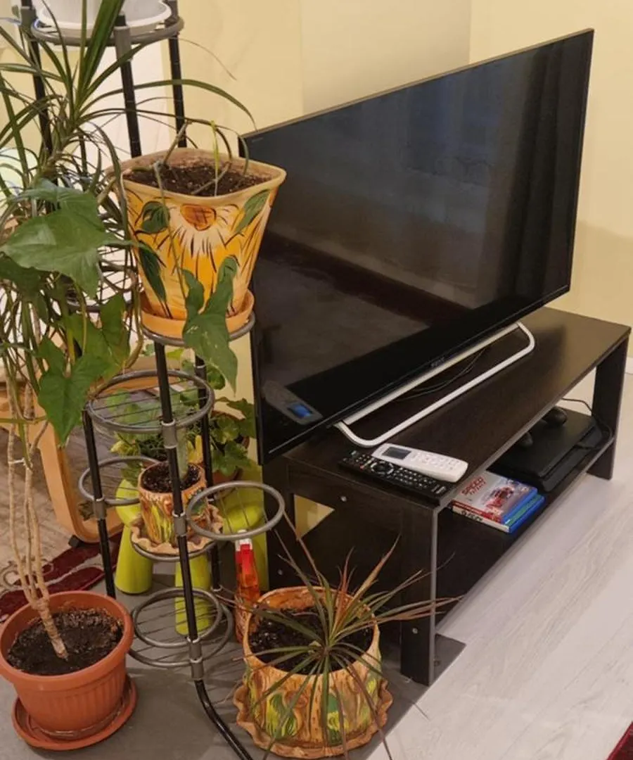 Appartement Peaceful Studio In The City Center, Close To Subway, Medical University Sofia